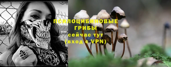 СК Михайловка