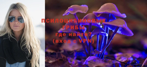хмурый Медногорск