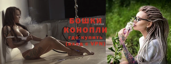 стаф Михайлов