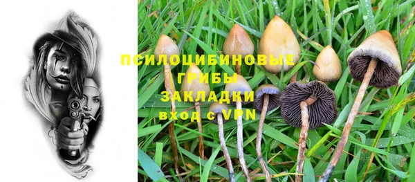 мдма Медвежьегорск