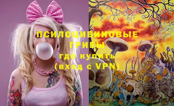 хмурый Медногорск