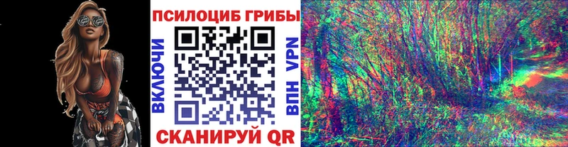 Купить закладки  Ликино-Дулёво  Галлюциногенные грибы Cubensis 